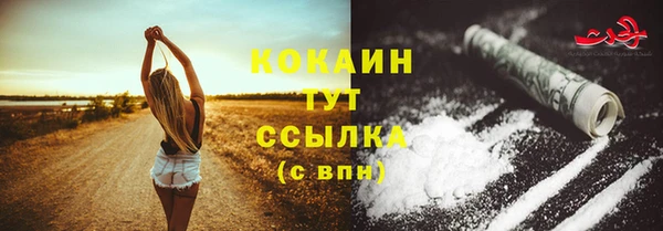 mdpv Протвино