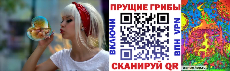 купить   Сертолово  Псилоцибиновые грибы MAGIC MUSHROOMS 