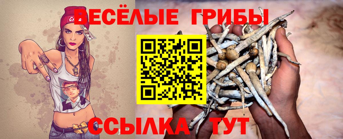 Сертолово  Псилоцибиновые грибы Magic Shrooms  Вход с VPN 
